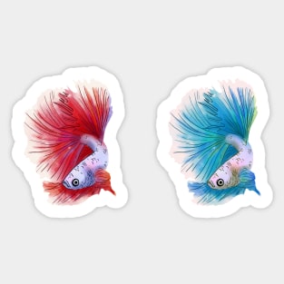 beta red blue fish Sticker